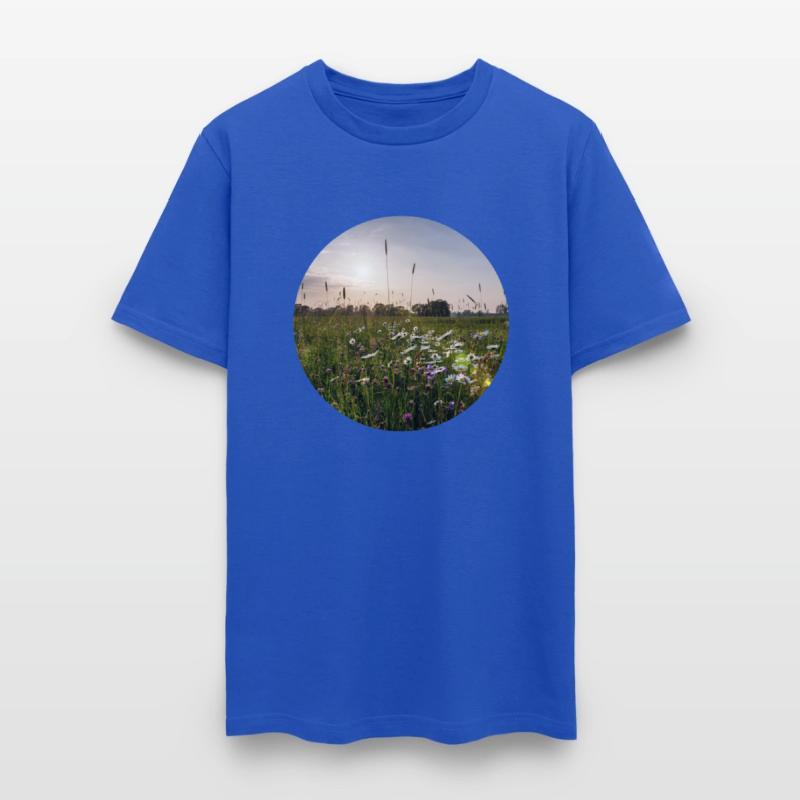 Sunny natural landscape with flowers