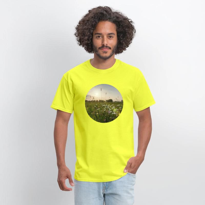 Sunny natural landscape with flowers