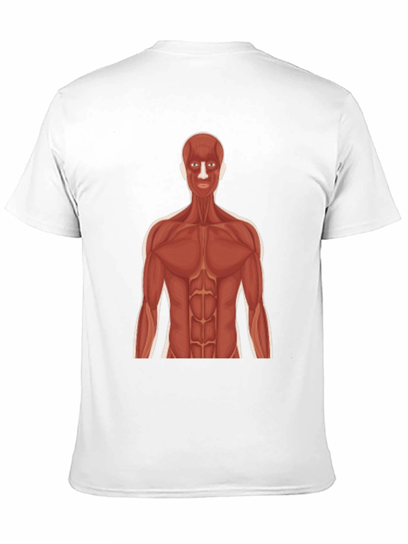 Anatomy Muscle Body Graphic Tee