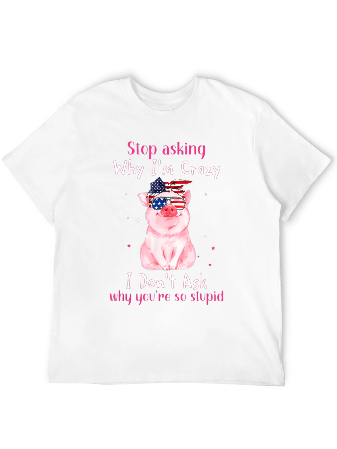 Crazy Pig USA Flag T-Shirt