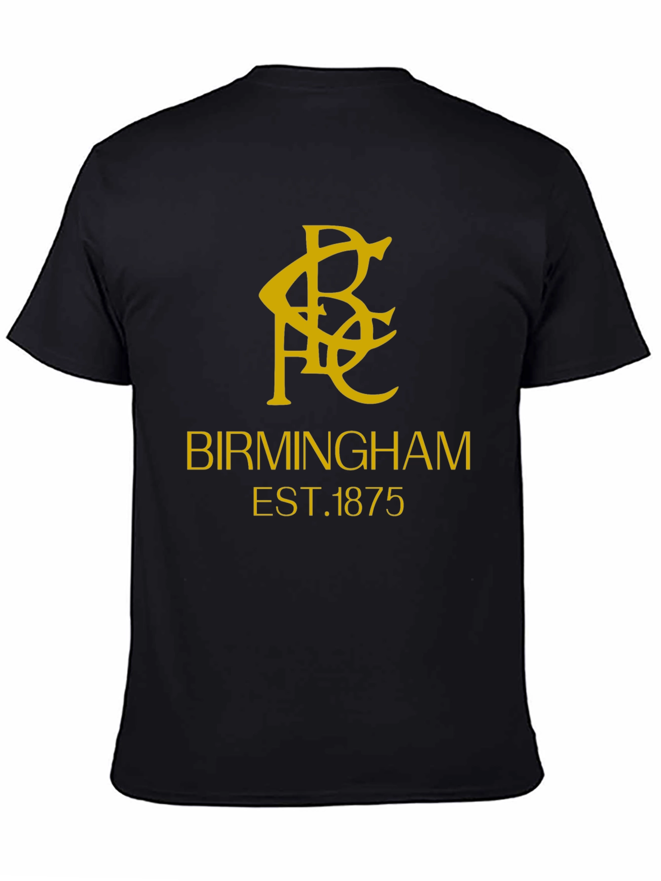 Birmingham Est. 1875 Graphic Tee