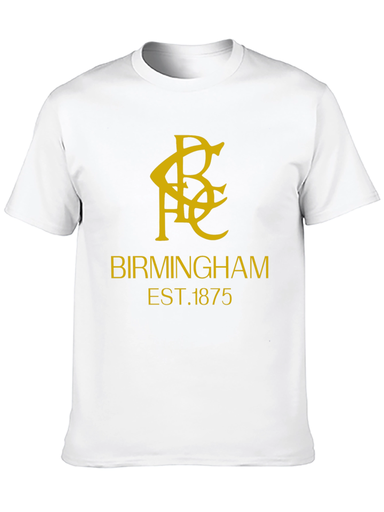 Birmingham Est. 1875 Graphic Tee