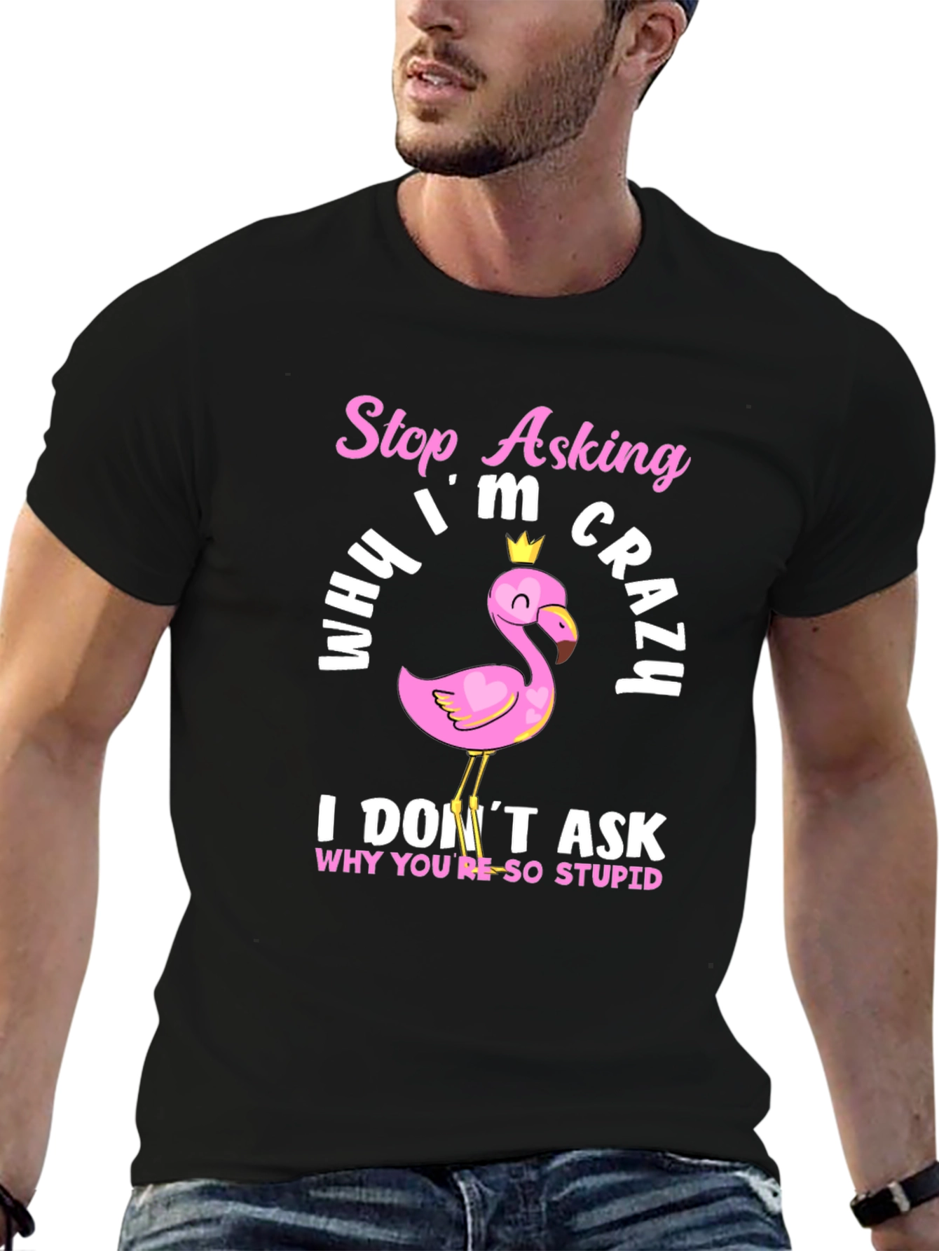 Funny Flamingo T-Shirt - Stop Asking Why Im Crazy