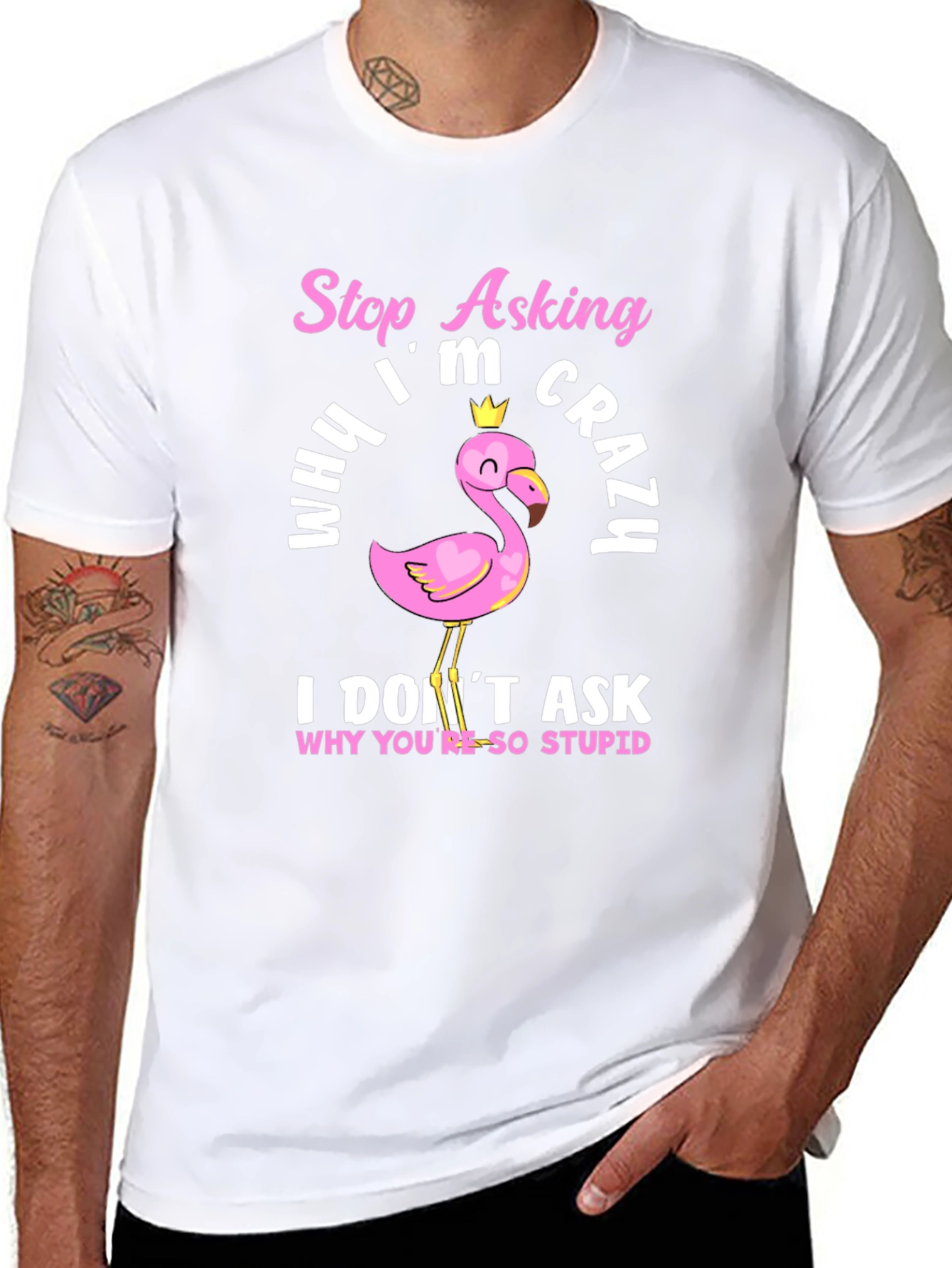 Funny Flamingo T-Shirt - Stop Asking Why Im Crazy