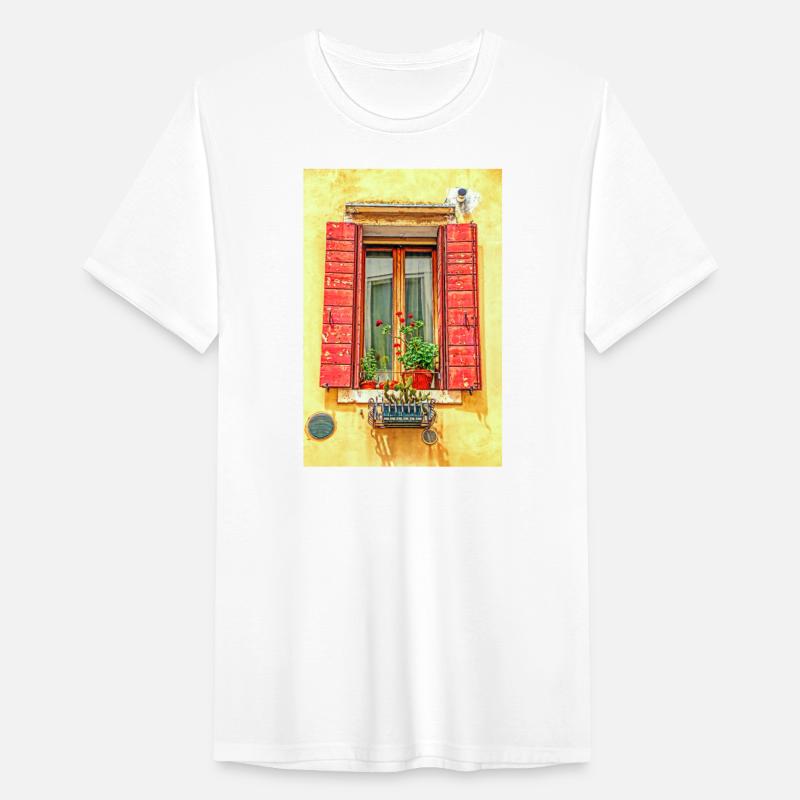 Windows of Venice Italy 9672