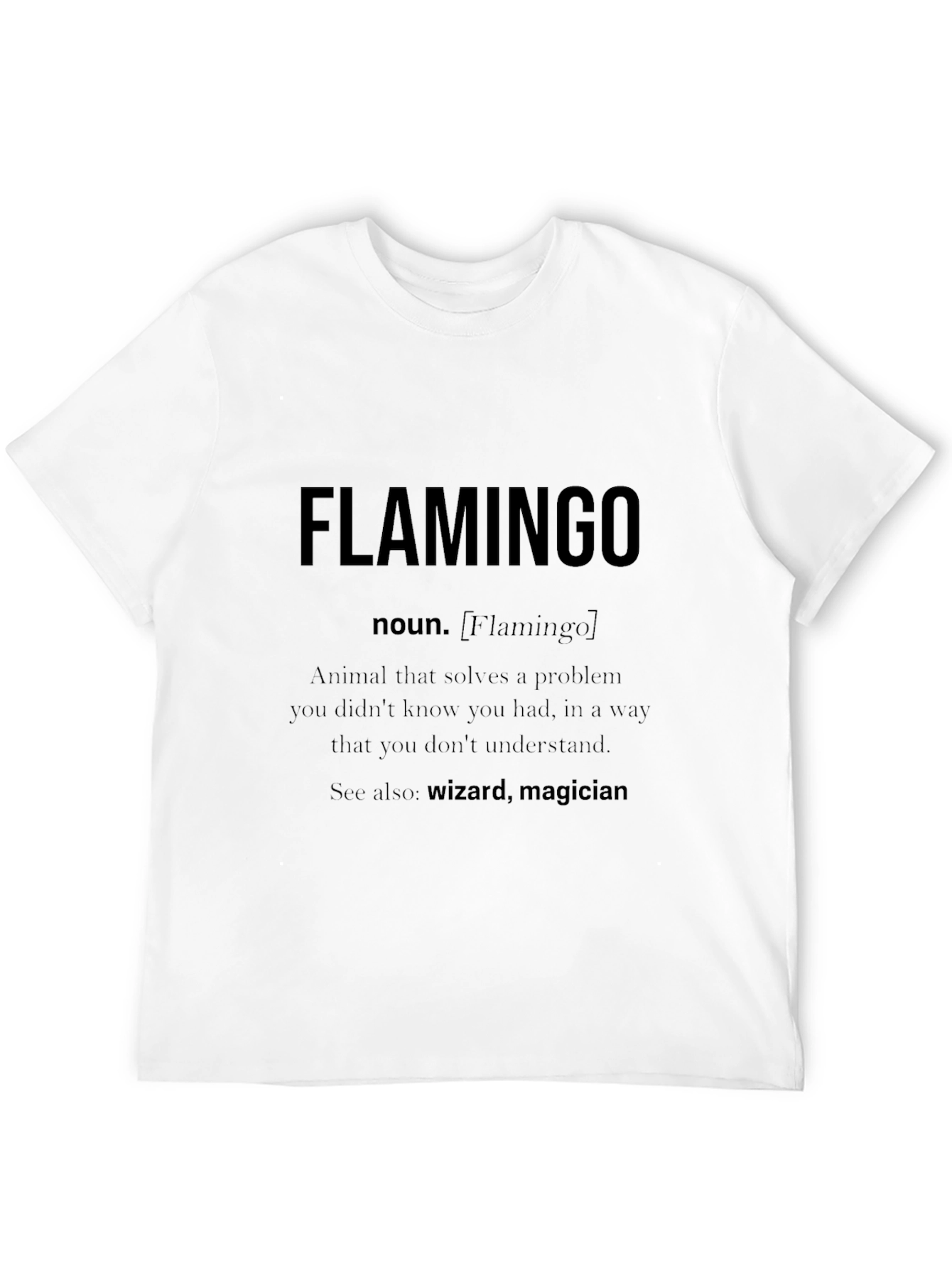 Flamingo Definition Graphic Tee - Wizard Magician