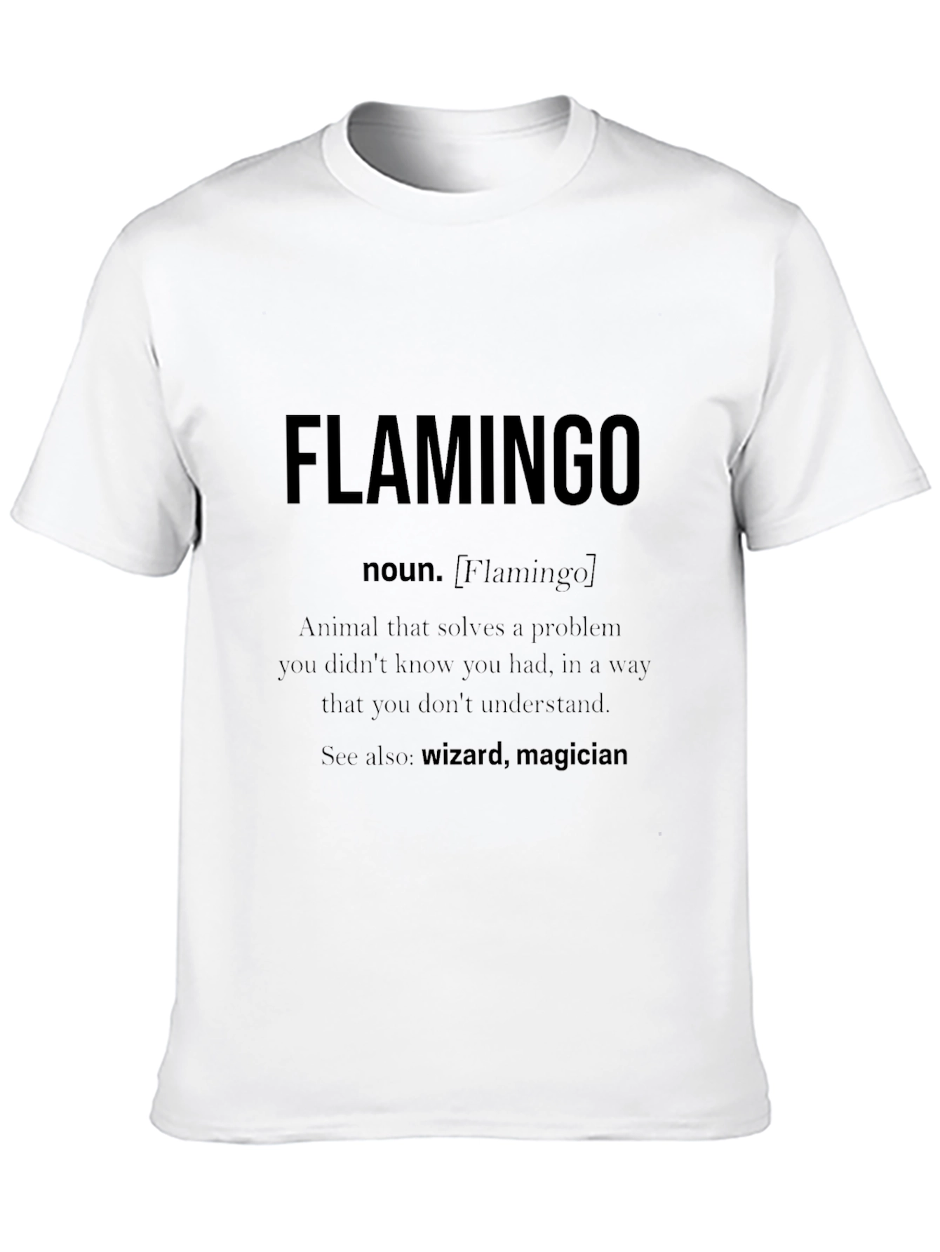 Flamingo Definition Graphic Tee - Wizard Magician