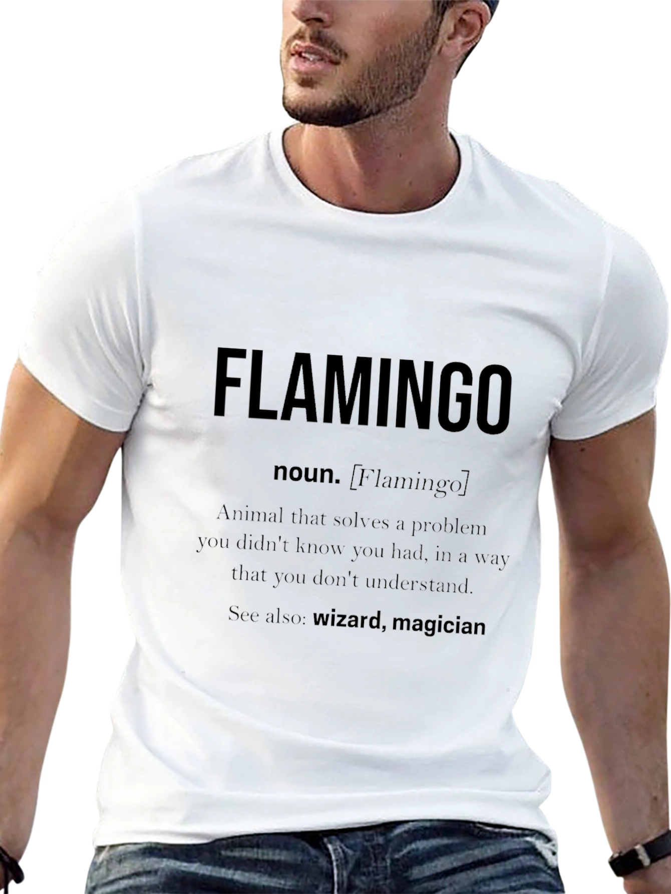 Flamingo Definition Graphic Tee - Wizard Magician